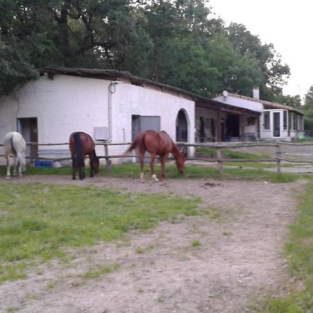 فيلا Ferme Equestre Des Abrons Pailloles المظهر الخارجي الصورة