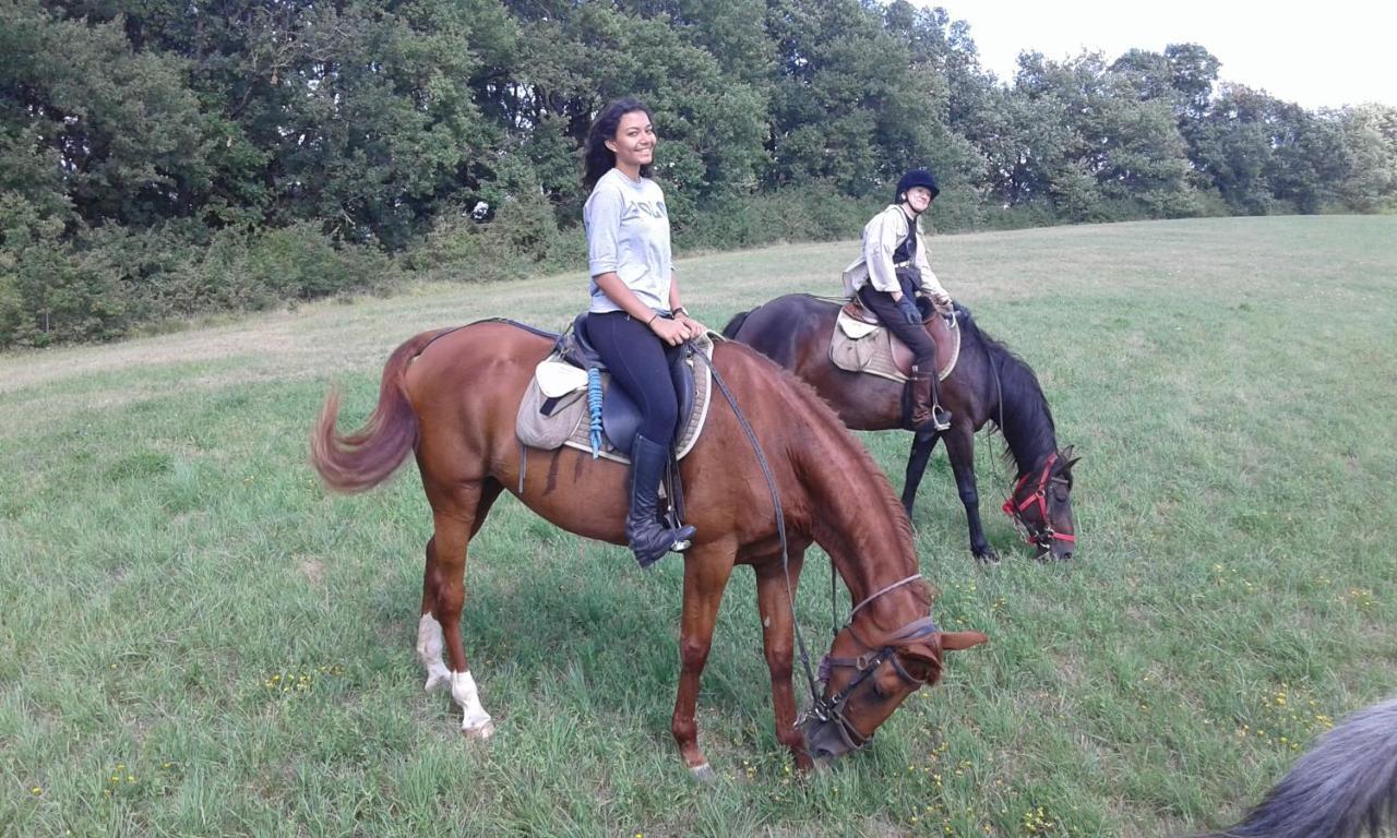 فيلا Ferme Equestre Des Abrons Pailloles المظهر الخارجي الصورة