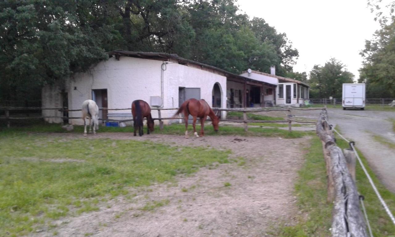 فيلا Ferme Equestre Des Abrons Pailloles المظهر الخارجي الصورة
