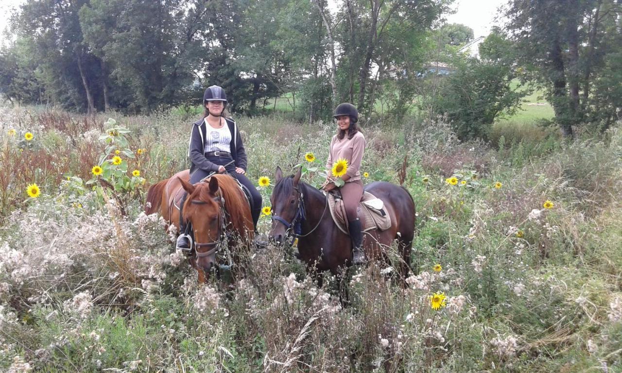 فيلا Ferme Equestre Des Abrons Pailloles المظهر الخارجي الصورة
